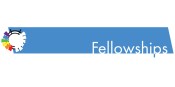 Fellowships