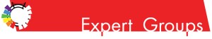 Expert groups