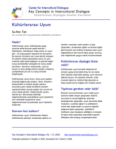 KC115 Cross-cultural Adaptation translated into Turkish